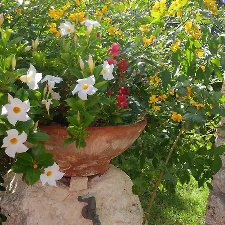 Casa di campagna Macchione