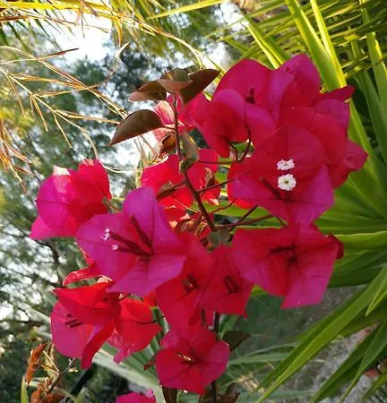 Hétvégi ház Macchione *