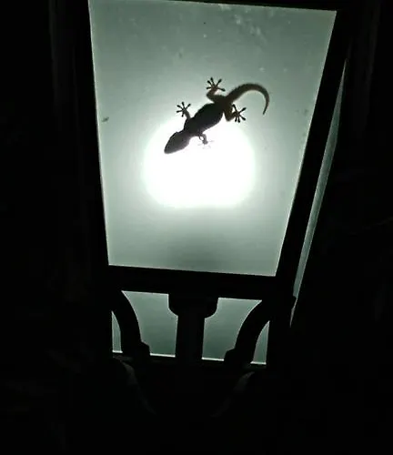 Macchione Kır Evi Mattinata